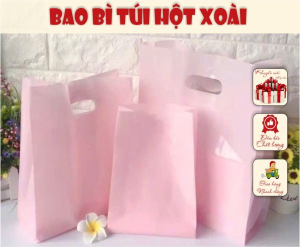 Túi hột xoài