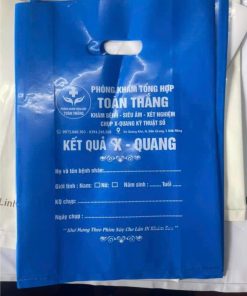 in túi hột xoài màu xanh dương