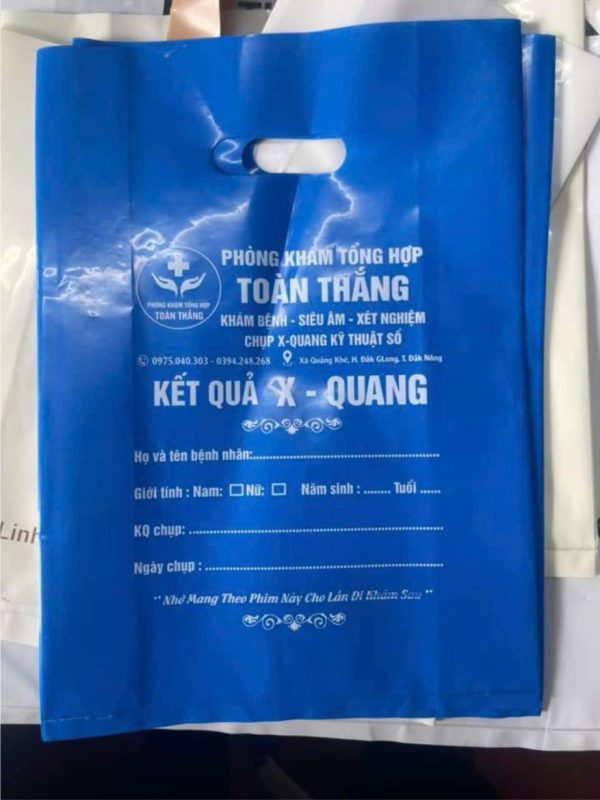 in túi hột xoài màu xanh dương