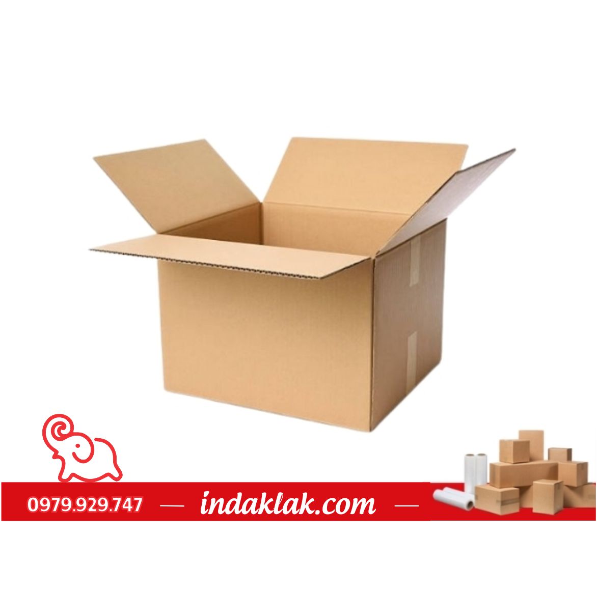 thùng carton là gì