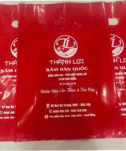 in túi hột xoài kích thước 35x50 ở bmt