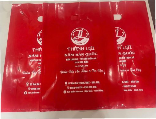 in túi hột xoài kích thước 35x50 ở bmt