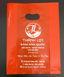 in túi hột xoài sâm ngọc linh BMT