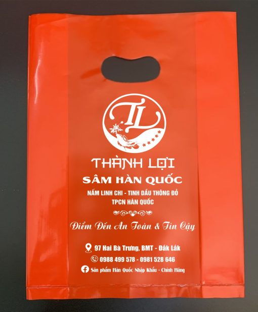 in túi hột xoài sâm ngọc linh BMT