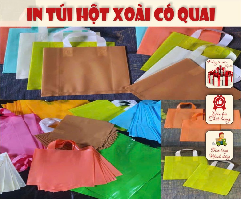 in túi hột xoài có quai tại bmt