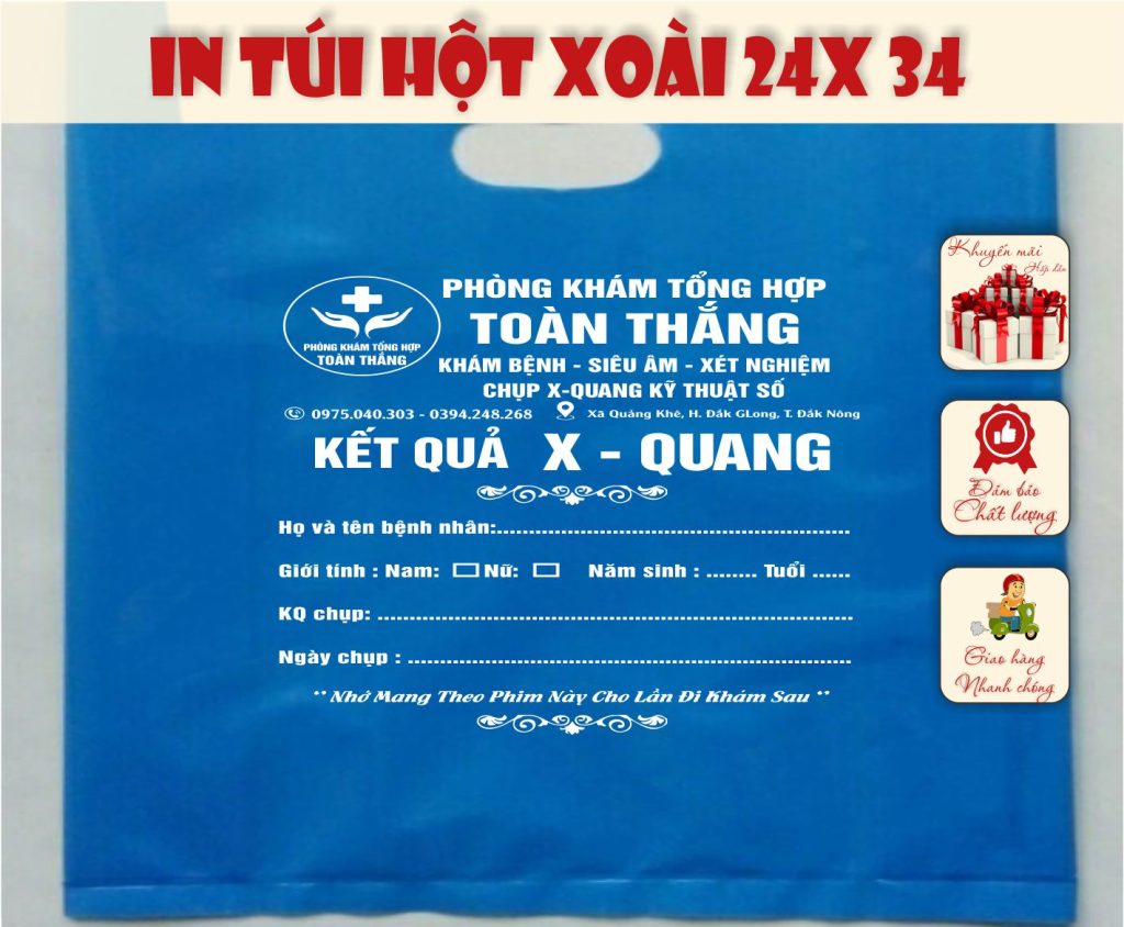 in túi hột xoài kt 24X34 PK Tổng hợp Toàn Thắng BMT
